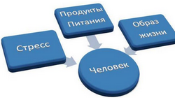 Как вывести шлаки из организма.